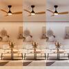 Philips Olas stropní ventilátor a svítidlo 28W+24W 3000/4300/6500K 106cm černá a dřevo