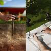 Philips Reuel GardenLink venkovní zapichovací LED reflektor Low Voltage 1,5W 180lm 2700K 24V IP44, černé