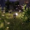 Philips Reuel GardenLink 3x venkovní LED reflektor Low Voltage 3x1,5W 3x180lm 2700K 24V IP44, černý, sada