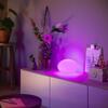 Philips Hue Flourish stmívatelná lampa EU A60 WCA 1000-20000K RGB