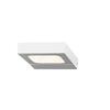 ACA Lighting Wall&Ceiling LED nástěnné svítidlo ZD80856LEDWH