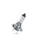 Philips H18 12V 65W PY26d-1 LongLife 1ks 12643LLC1