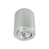 BPM Stropní svítidlo Aluminio Plata 8015.01 kartáčovaný hliník 1x 50W, 230V 8015.01