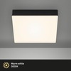 BRILONER LED stropní svítidlo, 21,2 cm, 16 W, černá BRI 7070-015