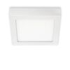 BRILONER LED stropní svítidlo, 17 cm, 12 W, bílé BRI 7123416