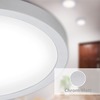 BRILONER LED stropní svítidlo, pr. 40,5 , 24,5 W, matný chrom BRI 7143-414