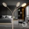 BRILONER Megg stojanová lampa - 12W, 800lm, LED, stmívatelná, nastavitelná, dotykový vypínač, béžová 1585011