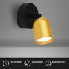 BRILONER Nástěnné svítidlo Spot, 8 cm, 1x GU10, max. 9W, černé/zlaté 2145017