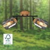 BRILONER Briloner Hema stropní bodové svítidlo, kouřové sklo, nastavitelné, 2-ramenné, dřevěná základna BRILO 2485025