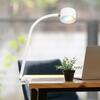 BRILONER Tari LED lampička na psací stůl, stmívatelné, magnetická hlava, bílé 2499016