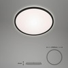 BRILONER LED stropní svítidlo pr. 28 cm 15W 1500lm černá BRILO 3046-015