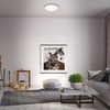 BRILONER CCT LED přisazené svítidlo pr. 38 cm, 22 W, 2900 lm, stříbrná BRILO 3704-014