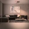 BRILONER RGB CCT LED stropní svítidlo, 57cm, 20 W, 1800 lm, černá BRILO 3736-015
