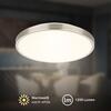 BRILONER Competo stropní svítidlo pr.24 cm - 12W, 1300lm, LED, teplá bílá, matný nikl 3901012