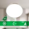BRILONER Kaida stropní svítidlo pr.33 cm - 12,7W, 2900lm, LED, energetická třída A, neutrální bílá, matný nikl 3935012