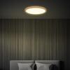BRILONER Tava Wood LED stropní svítidlo, přímé a nepřímé osvětlení, ploché, imitace dřeva, kruhové 42 cm 7451314