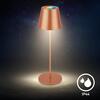 BRILONER Calida stolní lampička - 2,5W, 200lm, nabíjecí, LED, stmívatelné, RGBW, uchycení na láhev, bronzová 7510013