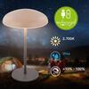 BRILONER Caxa stolní lampa - 2,8W, 300lm, bezdrátová, IP44, LED, stmívatelná, dotykový vypínač, béžová/antracit 7573011