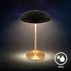 BRILONER Caxa stolní lampa - 2,8W, 300lm, bezdrátová, IP44, LED, stmívatelná, dotykový vypínač, černá/mosaz 7573015