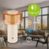 BRILONER Gila stolní lampa - 2,6W, 200lm, bezdrátová, LED, IP44, dotykový vypínač, stmívatelná, kávová/světlešedá 7669014