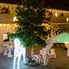 DecoLED Party osvětlení 5 m, 10 teple bílých LED, IP67