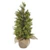 EMOS LED svítící stromek, 50 cm, venkovní i vnitřní, teplá bílá, časovač na baterie DCTW31