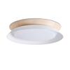 FARO TENDER LED stropní svítidlo, bílá