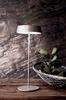 Deko-Light stolní lampa Miram stojací noha + hlava šedá sada 3,7V DC 2,20 W 3000 K 196 lm 120 šedá 620099