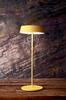 Deko-Light stolní lampa Miram stojací noha + hlava žlutá sada 3,7V DC 2,20 W 3000 K 196 lm 120 žlutá 620100