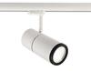 Deko-Light kolejnicový systém 3-fázový 230V Pleione Focus II 220-240V AC/50-60Hz 35,00 W 4000 K bílá 195 mm  707068