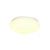 BIG WHITE LIPSY 30 Dome LED, venkovní nástěnné a stropní nástavbové svítidlo, bílá, IP44, 3000/4000K 1002020