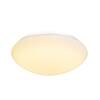 BIG WHITE LIPSY 40 Dome LED, venkovní nástěnné a stropní nástavbové svítidlo, bílá, IP44, 3000/4000K 1002021
