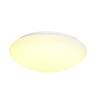 BIG WHITE LIPSY 50 Dome LED, venkovní nástěnné a stropní nástavbové svítidlo, bílá, IP44, 3000/4000K 1002022