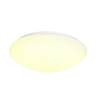 BIG WHITE LIPSY 50 Dome LED, venkovní nástěnné a stropní nástavbové svítidlo, bílá, IP44, 3000/4000K 1002022