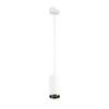 BIG WHITE NUMINOS PD DALI M vnitřní LED závěsné svítidlo bílá/černá 2700 K 60° 1004536