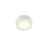 BIG WHITE SENSER 12 CW vnitřní LED nástěnné a stropní přisazené svítidlo kulaté bílé, 4000 K 1004700