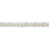 BIG WHITE GRAZIA PRO MAX FLEXSTRIP 24 V 20 mm 5 m 12500 lm 3000 K 1004720