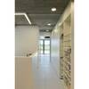 BIG WHITE GRAZIA PRO MAX FLEXSTRIP 24 V 20 mm 5 m 12500 lm 3000 K 1004720