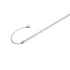 BIG WHITE GRAZIA PRO FLEXSTRIP 24 V 12 mm RGBW 1004727