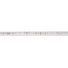 BIG WHITE GRAZIA IP FLEXSTRIP 24 V 3360 lm IP55 2700 K 1004734