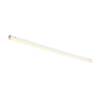 BIG WHITE BATTEN 120 světelná lišta bílá 18 W CCT Switch 3000/4000 K 1006124