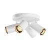 BIG WHITE (SLV) ASTO TUBE stropní přisazené svítidlo, válcové, max. 4x 10 W, bílé 1006430