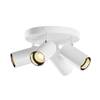 BIG WHITE (SLV) ASTO TUBE stropní přisazené svítidlo, válcové, max. 4x 10 W, bílé 1006430