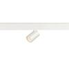 BIG WHITE (SLV) NUMINOS XS 48 V TRACK DALI, spot, bílé/bílé, 8,7 W, 730 lm, 3000 K, CRI90, 20° 1006679