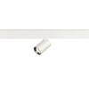BIG WHITE (SLV) NUMINOS XS 48 V TRACK DALI, spot, bílé/chrom, 8,7 W, 730 lm, 3000 K, CRI90, 20° 1006680