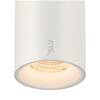 BIG WHITE (SLV) NUMINOS S 48 V TRACK DALI, spot, bílé/bílé, 16 W, 1020 lm, 2700 K, CRI90, 20° 1006715