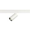 BIG WHITE (SLV) NUMINOS S 48 V TRACK DALI, spot, bílé/chrom, 16 W, 1050 lm, 3000 K, CRI90, 40° 1006737