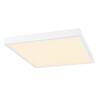 BIG WHITE (SLV) PANEL V DALI 625 34W 830/840 UGR 1007505