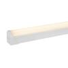 BIG WHITE (SLV) INDUSTRY BATTEN V 1500 22/42W 830/840/857 1007507