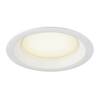 BIG WHITE (SLV) DOWNLIGHT V 150 9/15W 830/840 IP54 1007509